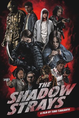 MOVIE: The Shadow Strays (2024)